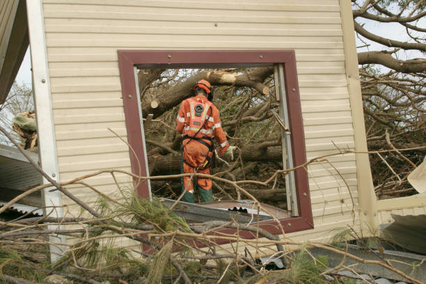 Best Tree Disease Treatment  in Bell Nyon, CA